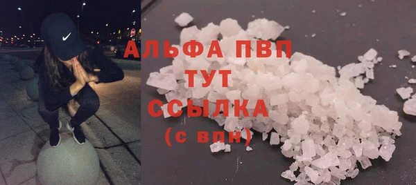 стафф Арсеньев