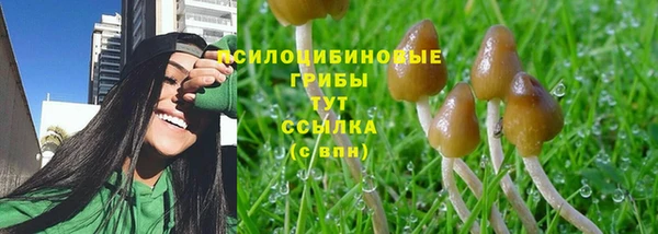 стафф Арсеньев