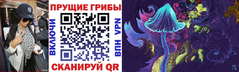 Псилоцибиновые грибы Magic Shrooms  Семикаракорск 