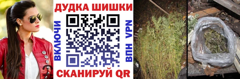 блэк спрут как зайти  Семикаракорск  Каннабис планчик  сколько стоит 